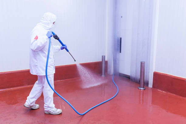El Macero, CA Pressure Washing Services Company